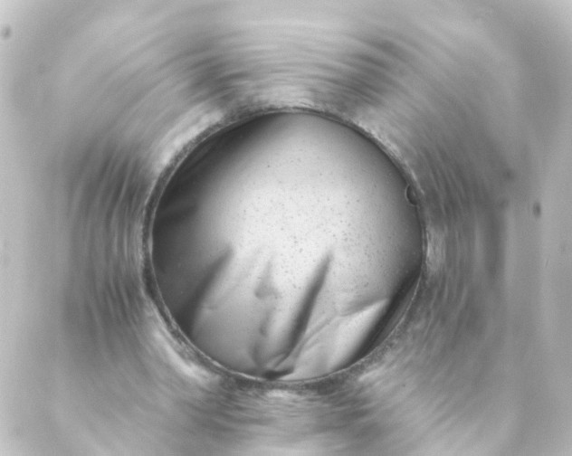 X0000088890390200706221845