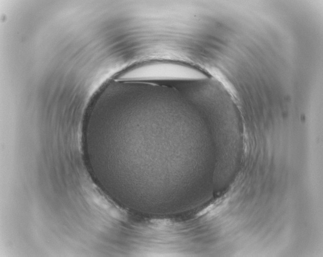 X0000088890391200706221845