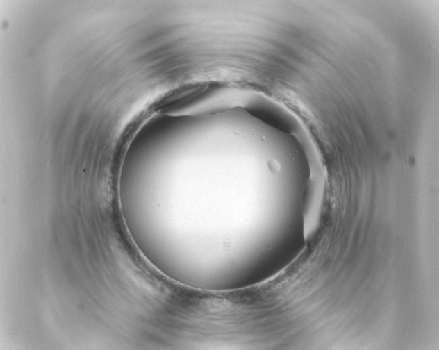 X0000088890392200706221845