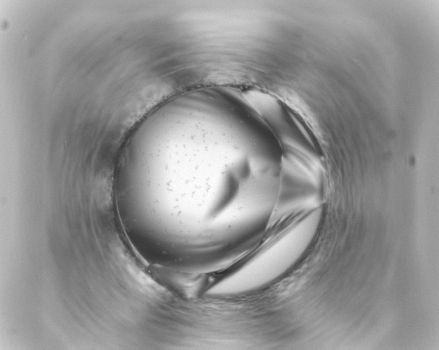 X0000088890393200706221845