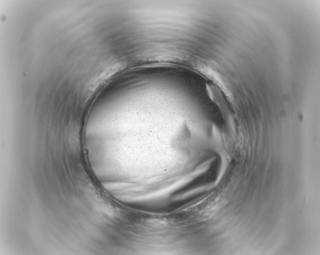 X0000088890394200706221845