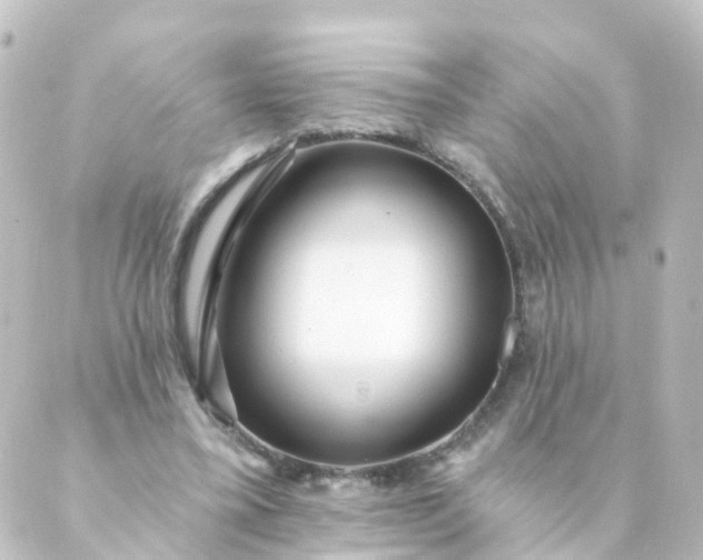 X0000088890395200706221845