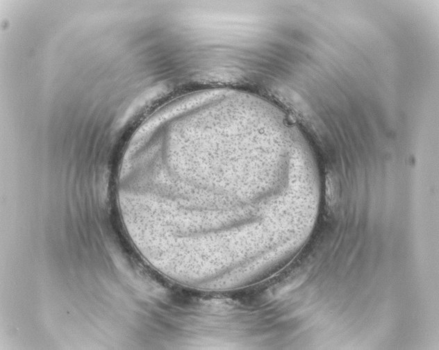 X0000088890396200706221845