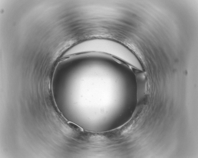 X0000088890397200706221845