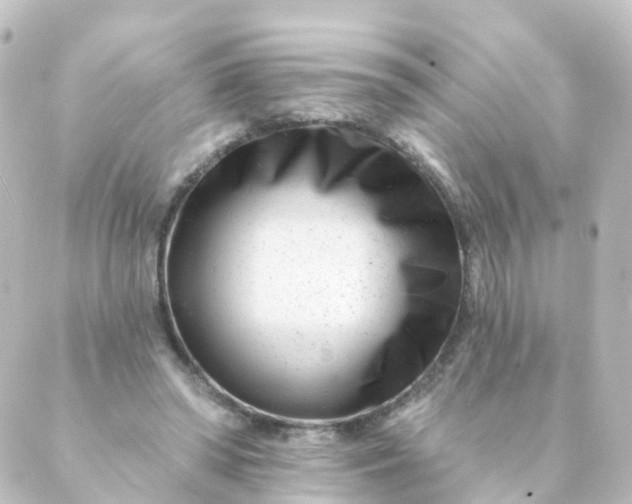 X0000088890398200706221845