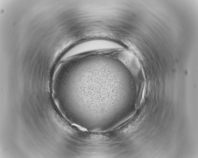 X0000088890399200706221845