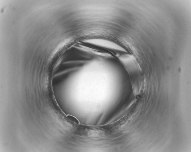 X0000088890400200706221845