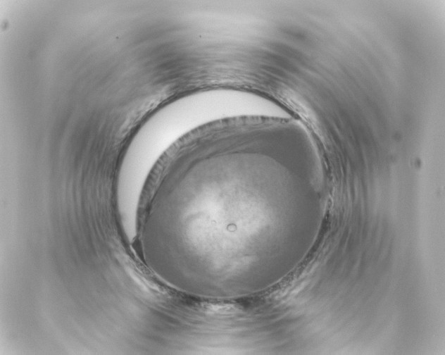 X0000088890401200706221845