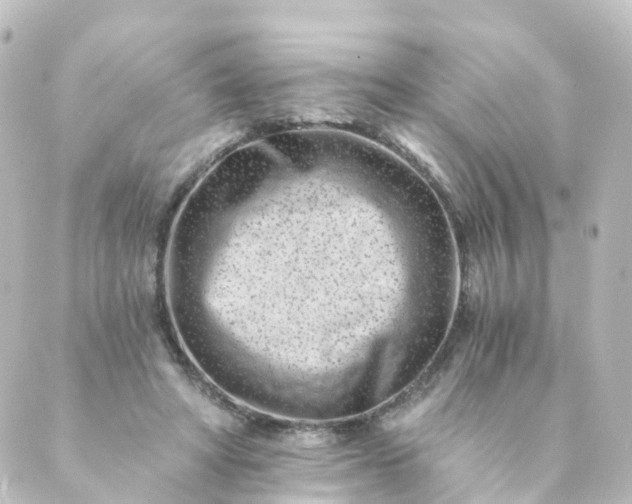 X0000088890402200706221845