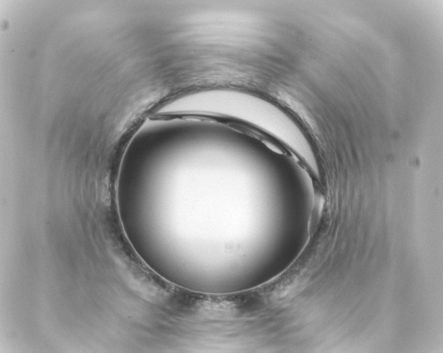 X0000088890403200706221845