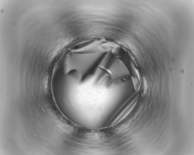 X0000088890404200706221845