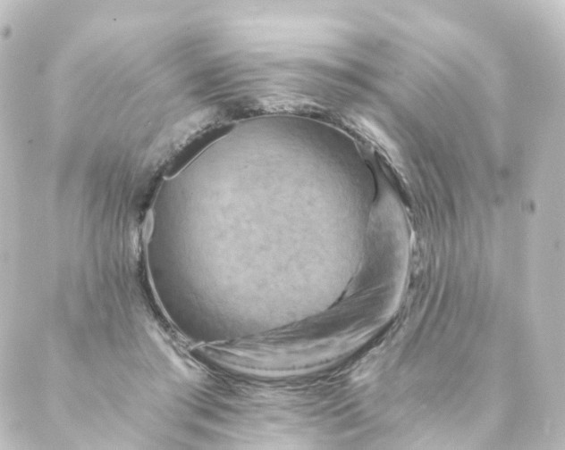 X0000088890405200706221845