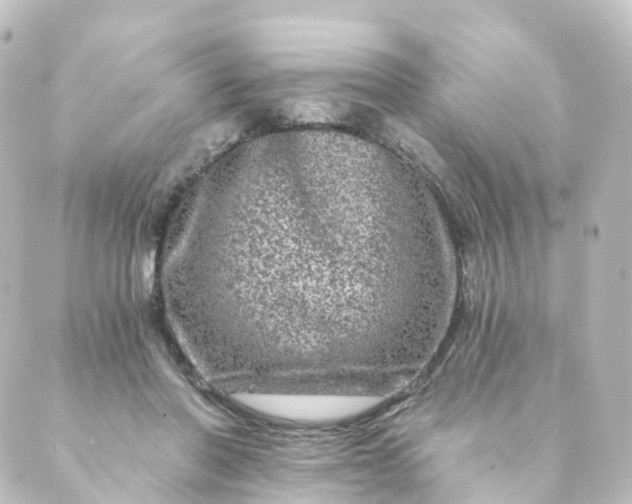 X0000088890406200706221845