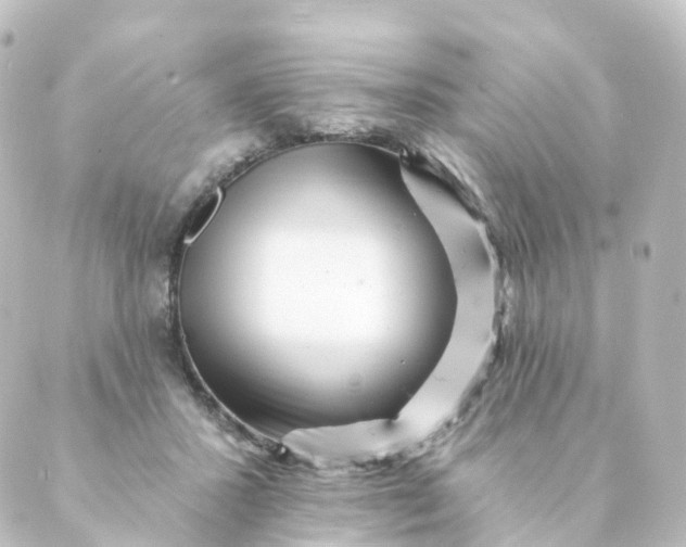 X0000088890407200706221845