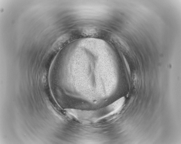 X0000088890408200706221845