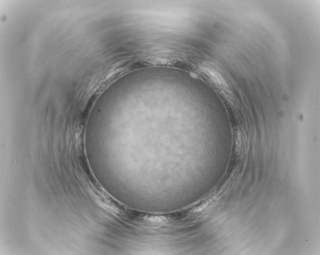 X0000088890409200706221845