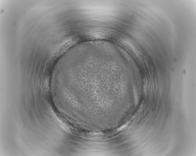 X0000088890410200706221845