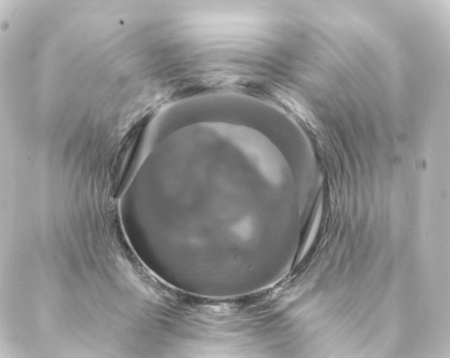 X0000088890411200706221845