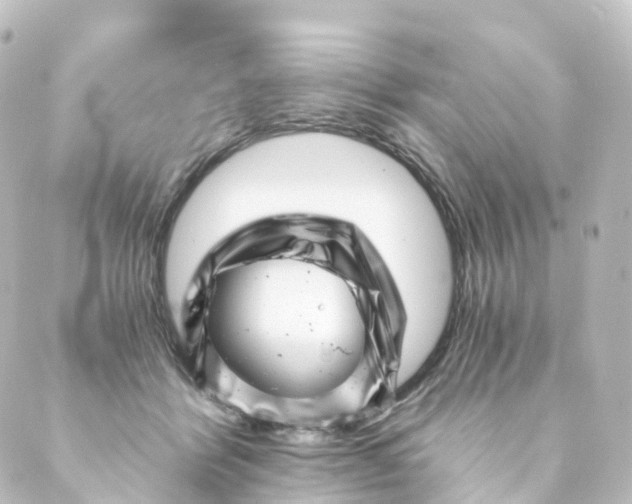 X0000088890412200706221845