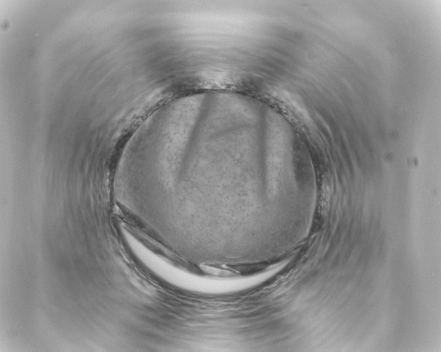 X0000088890413200706221845