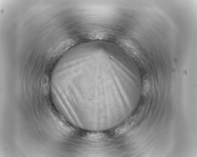 X0000088890414200706221845