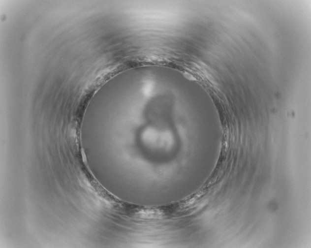 X0000088890415200706221845