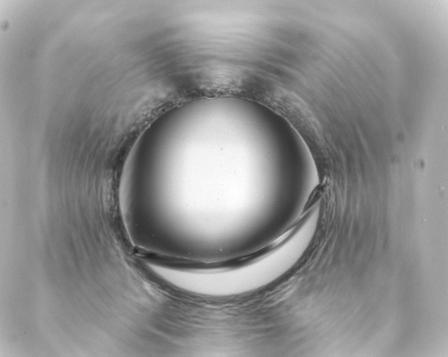 X0000088890416200706221845