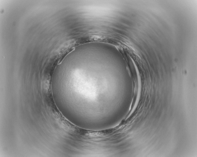 X0000088890417200706221845