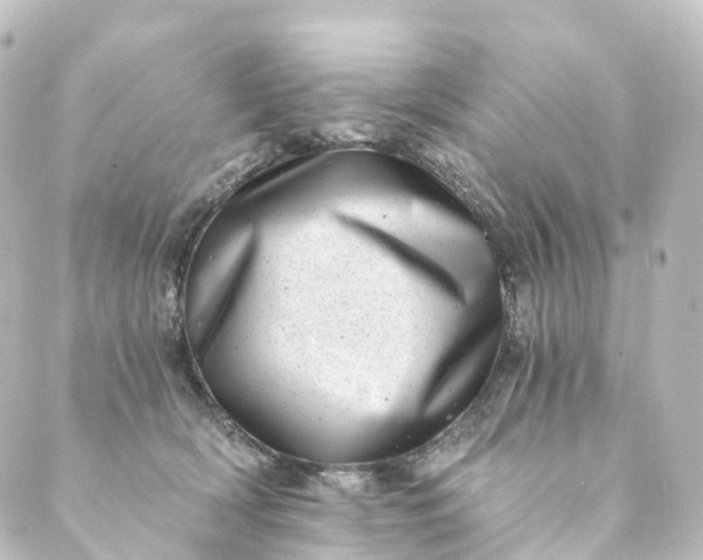 X0000088890418200706221845