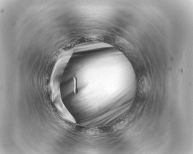 X0000088890420200706221844