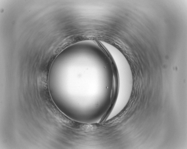 X0000088890421200706221844