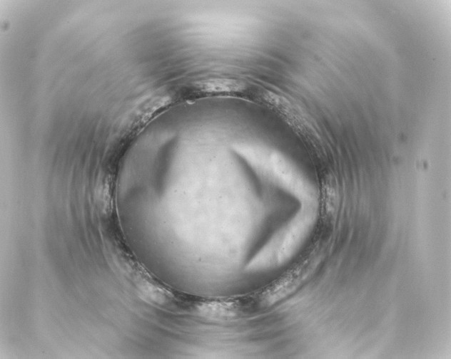 X0000088890422200706221844