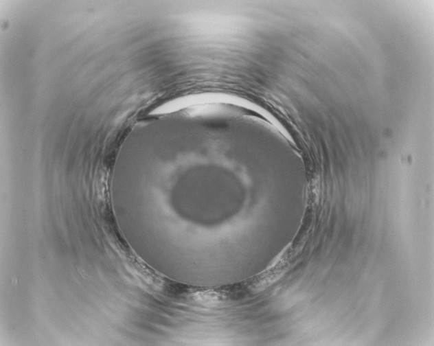 X0000088890423200706221844