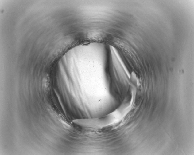 X0000088890424200706221844