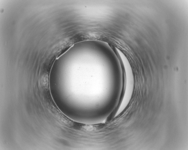 X0000088890425200706221844