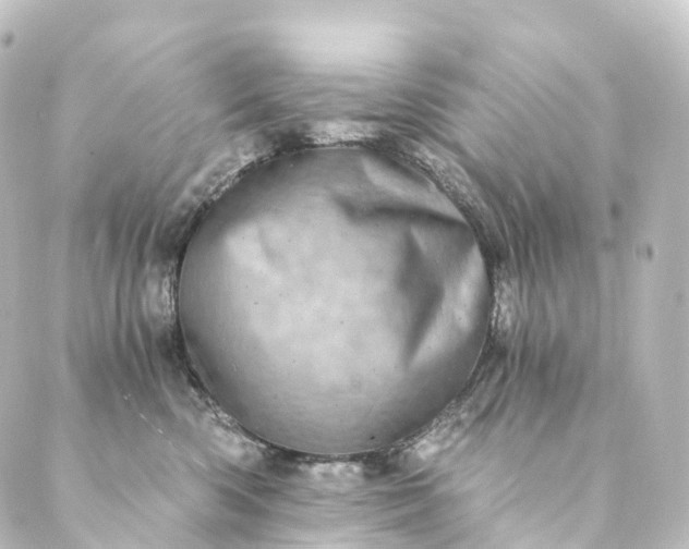 X0000088890426200706221844