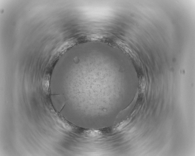 X0000088890427200706221844