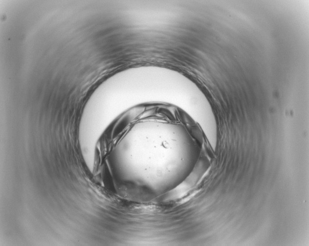 X0000088890428200706221844