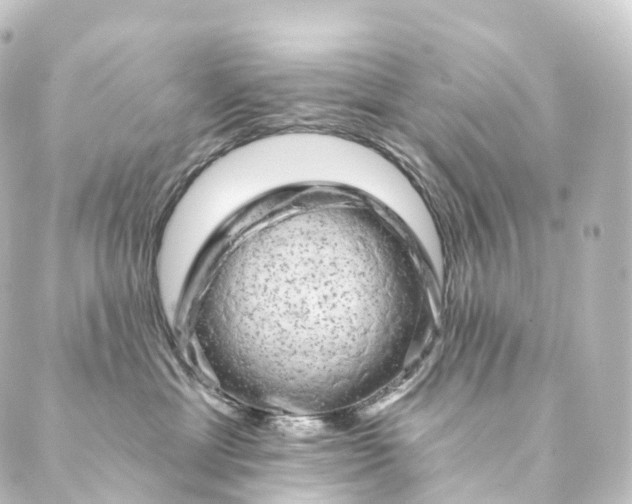 X0000088890429200706221844