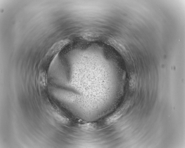 X0000088890430200706221844