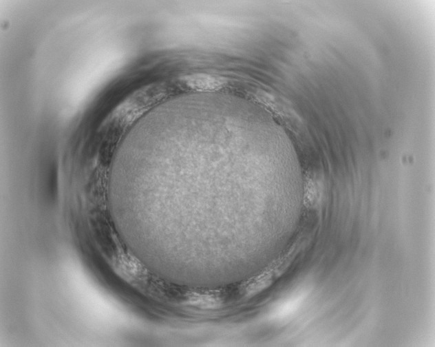 X0000088890431200706221844