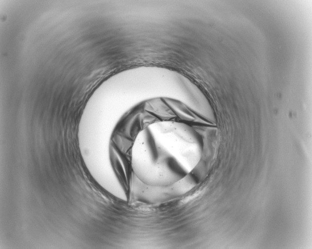 X0000088890432200706221844