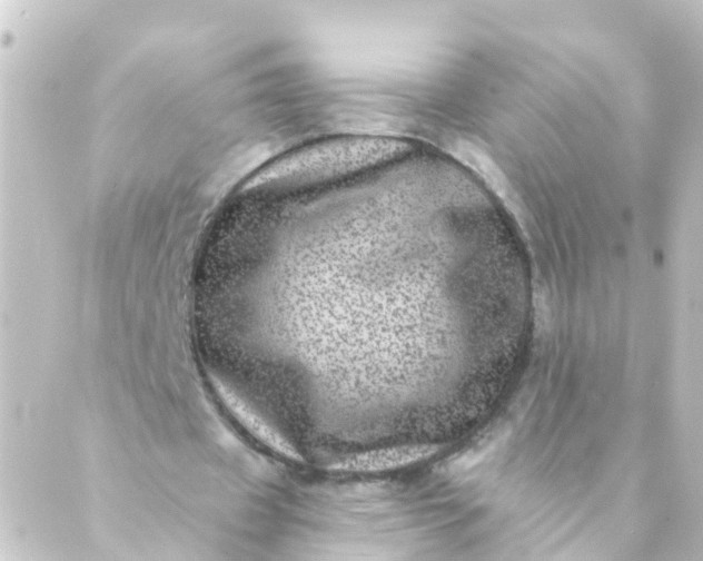 X0000088890433200706221844