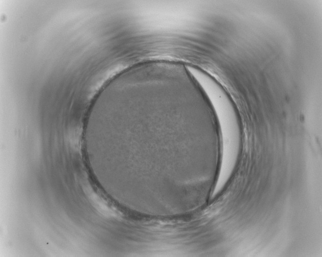 X0000088890434200706221844