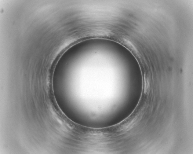 X0000088890435200706221844