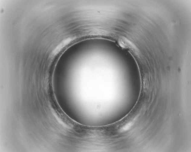 X0000088890436200706221844