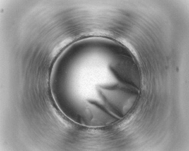 X0000088890437200706221844