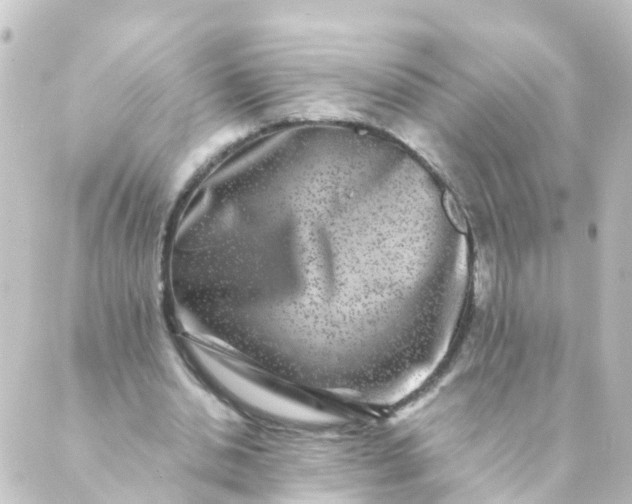 X0000088890438200706221844