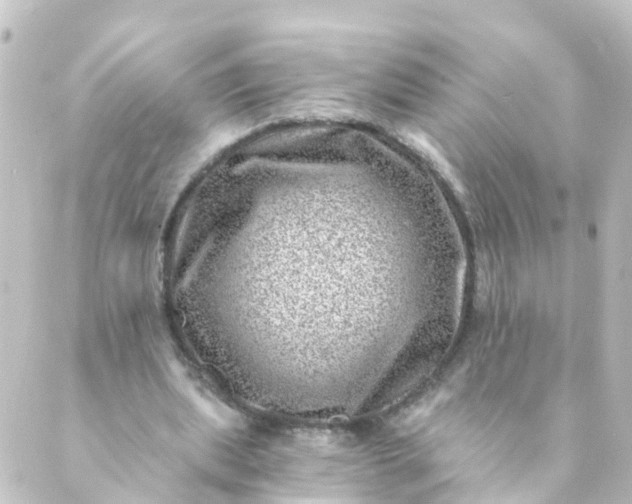 X0000088890439200706221844