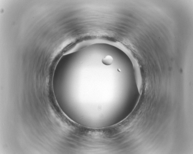 X0000088890440200706221844